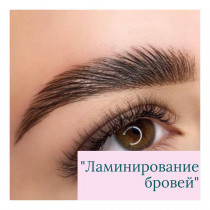 Базовый курс "Ламинирования бровей"