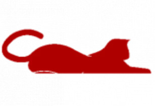 Центр эстетического образования RedCat
